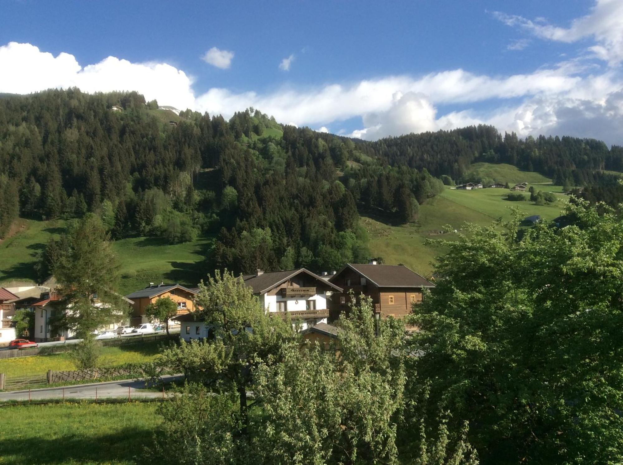 Kitzbuheler Alpen Penthouse Hollersbach Apartamento Hollersbach im Pinzgau Exterior foto
